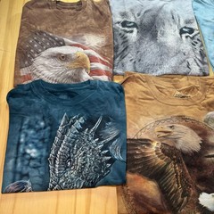 Lot of 6 The Mountain Nature Wildlife T Shirt Bundle Eagle Animal Outdoors