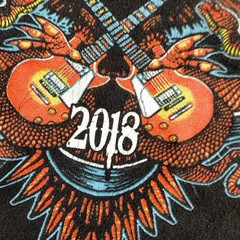 Lynyrd Skynyrd Shirt Mens XL Black Last Of The Street Survivors Tour 2018