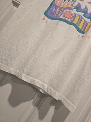 Vintage Vail Shirt Single-Stitch Art Large 90s Puff Print Colorful Fresh Produce