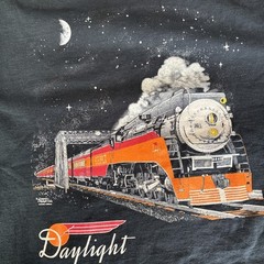 Y2K Daylight Train Beautiful Night Shirt Men’s SZ XL Oregon Rail Heritage Center