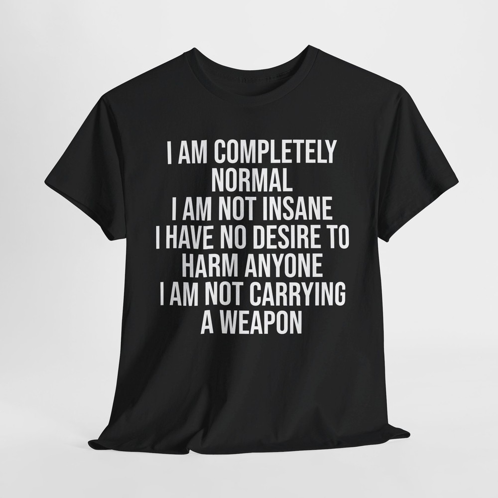 I am completely normal I am not insane shirt funny novelty edgy