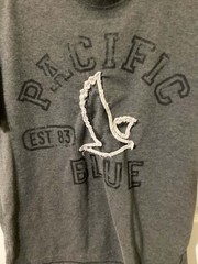 Pacific Blue Y2K Gray Graphic T-shirt With Embroidered Eagle Size Small
