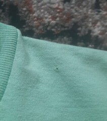 Vintage Single Stitch T-Shirt with Humpback Whales by OCD Cleaners x Bodega