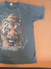 Vintage Tiger Animal Nature Art Big Cat Country St Louis Zoo Single Stitch USA M