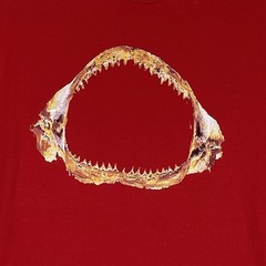 Blankenship Dry Goods Tshirt Men M Red Shark Jaws Elephant Pocketed Surf USA