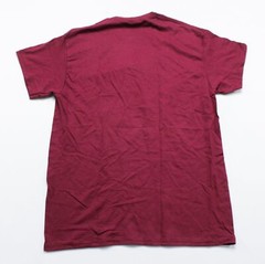 Loot Crate Unisex Adult’s Hogwarts Short Sleeve Tee Shirt EJ1 Maroon Medium