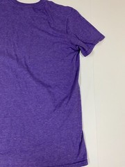 Ministries Mens Shirt Medium purple Lion student Ministries
