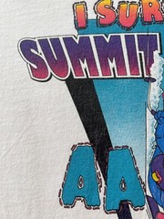 Vintage 90s Disney Blizzard Beach I Survived Summit Plummet White T-shirt