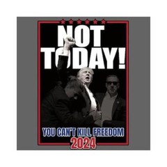 Not Today! Can’t Kill Freedom Long Sleeve T-Shirt 2024 MAGA USA