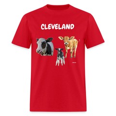 CAVS