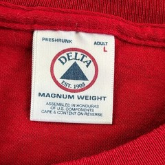Vintage Washington DC T Shirt Embroidered Delta Magnum Weight L Red 90s y2k