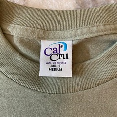 Vtg Cal Cru Tee Shirt Sage Green 90s Single Stitch Birds Winter Sz M USA Made