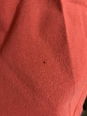 Vintage 90s Tommy Hilfiger T-Shirt Size Large Tommy Logo Red Classic Designer