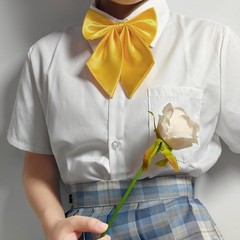 Women Pre-Tied Bow Tie for Waitress Uniform, Costume & Choir, Adjustable Neck Bo