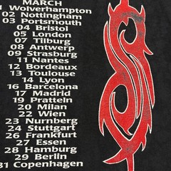 Vintage Slipknot Shirt Large Y2K Long Sleeve Tour Concert Nu Metal Rock Band Tee