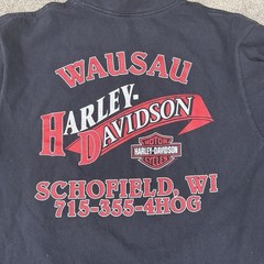 Harley Davidson Wausau Wisconsin Annual Fall Ride T Shirt L As Pictured Hole!!