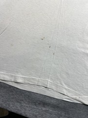 Vintage 50s Forest Rangers COF T-Shirt Size S Champion Running Man