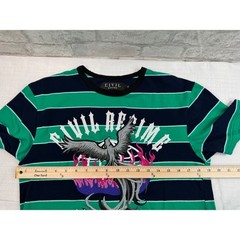 Civil Regime T-Shirt Mens Medium Green Navy Striped Phoenix Graphic Excellent