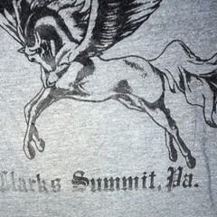 Pennsylvania Horseback riding stables rare vintage T-Shirt Crew Neck S original