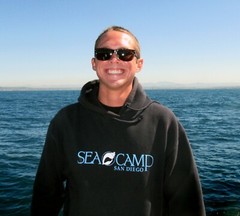 Adult Size Large, Navy Blue SEACAMP San Diego Logo Hooded Sweatshirt, Unisex