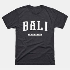 Bali Shirt | Bali Indonesia T-Shirt | Bali Tee | Men Women Adult Unisex Shirt
