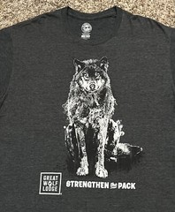 Great Wolf Lodge Strengthen The Pack Men’s Gray T-Shirt Size XL