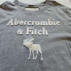 Vtg Y2K Abercrombie & Fitch Mens XL Muscle Big Moose T-Shirt Grey Applique Tee
