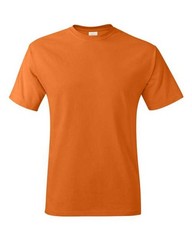 Hanes Unisex Authentic T-Shirt