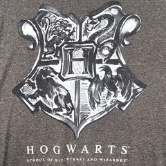 Harry Potter Shirt Hogwarts School Of Witchcraft & Wizardry Short Sleeve XL