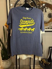 VTG Delta Pro Weight Dolly Parton’s Stampede Blue Graphic Logo Crew Neck Tee M