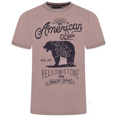 KAM American Bear Printed For Men in 4 Colours, 2XL-8XL