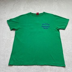 STUDIO D’ARTISAN Embroidered Green T-Shirt M Pig Car Americana Japan F/S