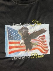 Land of the Free Home of the Brave Shirt Mens Large Black Graphic Short Sleeve