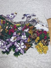 Vintage Ferndale California Nature Shirt XL Gray Double Sided 90s 12372