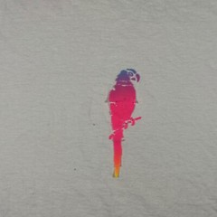 Vintage Surfing Shirt Adult Small White Single Stitch Mens 90s Parrot Surf Zone