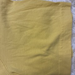 Eddie Bauer ~ Men’s Size L Yellow / Rainbow Logo Graphic Short Sleeve T-Shirt
