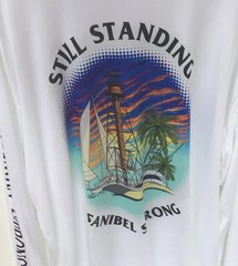 Long Sleeve Fishing Shirt,Microfiber,UPF Sun Protection,XL……A20.A