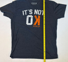 Lot of 2 Baseballism T-Shirts Mens Sz Large 3-1 Count & It’s Not OK Tees