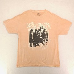 Aerosmith Band Casual Crew Neck Graphic T-Shirt Adult Mens Size Large L Tan