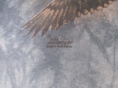 Y2K The Mountain Bald Eagle Flag Mountain Landscape Tie Dye T shirt XXL USA