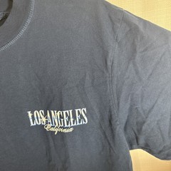 Pacsun Pacific Sunwear T-Shirt Men’s Small Blue Graphic NWT