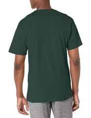 Champion Men’s T-Shirt, Classic Tee for Men, Comfortable Soft Men’s T-Shirt (Big