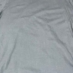 Tommy Hilfiger Men’s Blue Long Sleeve Crewneck Shirt
