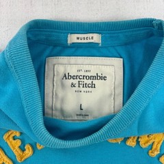 Vintage Abercrombie Muscle Fit Blue Tshirt Men’s Size L Embroidered Y2k