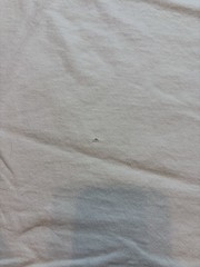 Xanadoo Promo Shirt Wireless Internet Tech Men’s XL FOTL Do You Xanadoo