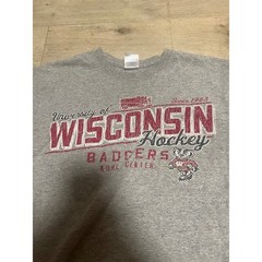 University of Wisconsin Badgers Hockey T-Shirt Mens Size Medium Kohl Center NCAA