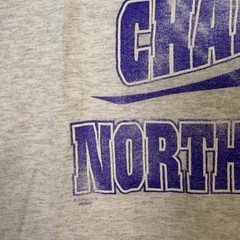 VTG 1995 Big Ten Football Champions Northwestern University T Shirt Gray XL S.S.