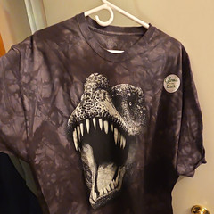 The Mountain Glow in The Dark Dinosaur Cotton Crew Tee Dark Gray Tie-dye 4XL New