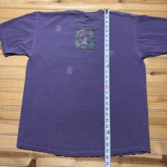 Vintage Y2K Chasing Dragons Floral Rose Nature Art Graphic T-Shirt USA – Large