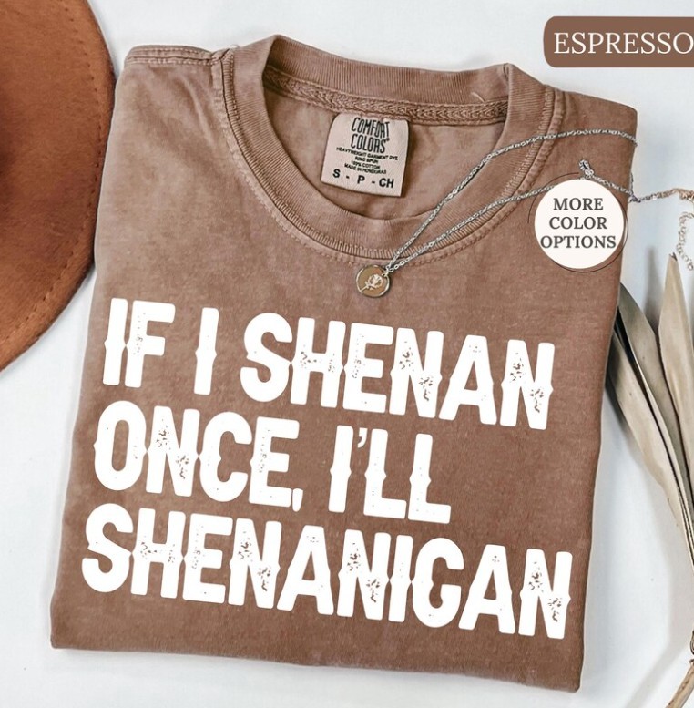 If I Shenan Once Ill Shenanigan Shirt, Funny Irish Shirt, Sarcastic shirt